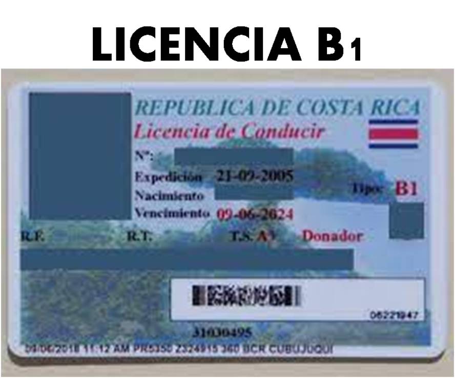 Licencia B1